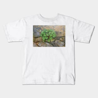 Life on an old stone wall Kids T-Shirt